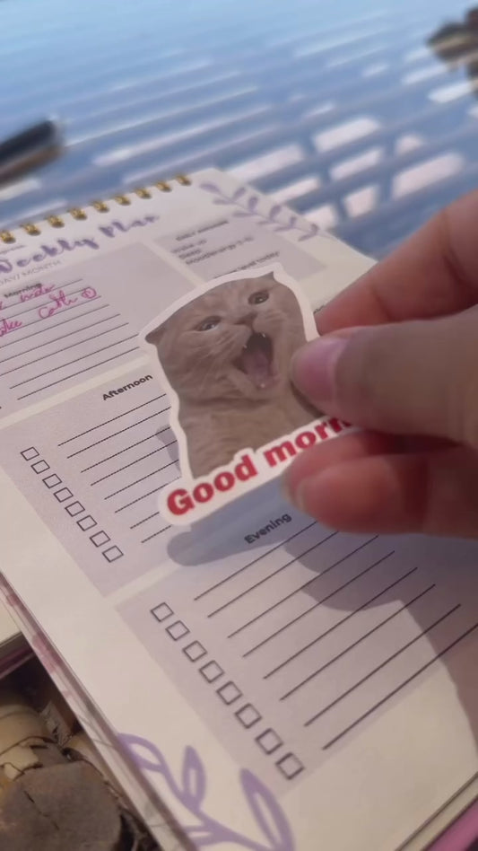 Mood Cat Mystery Pack